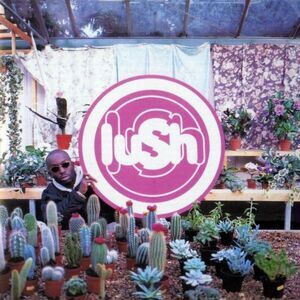 Lush - Lovelife  LP LP